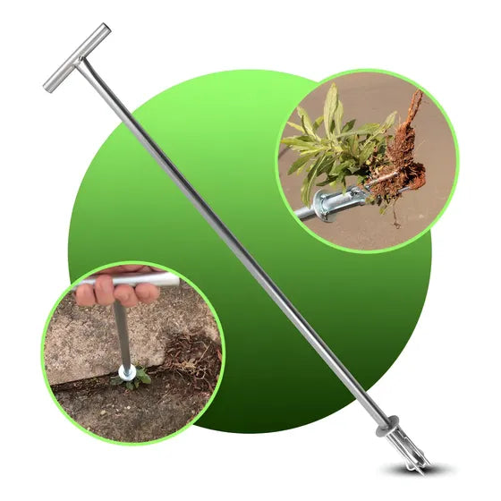 Removedor De Erva Daninha Arrancador De Inço Extrator De Matos Pragas Mato Tiririca Remove Elimina Inços Em Pé 73cm Metal Reforçado Protetor De Jardim Ferramenta De Jardinagem Killrex